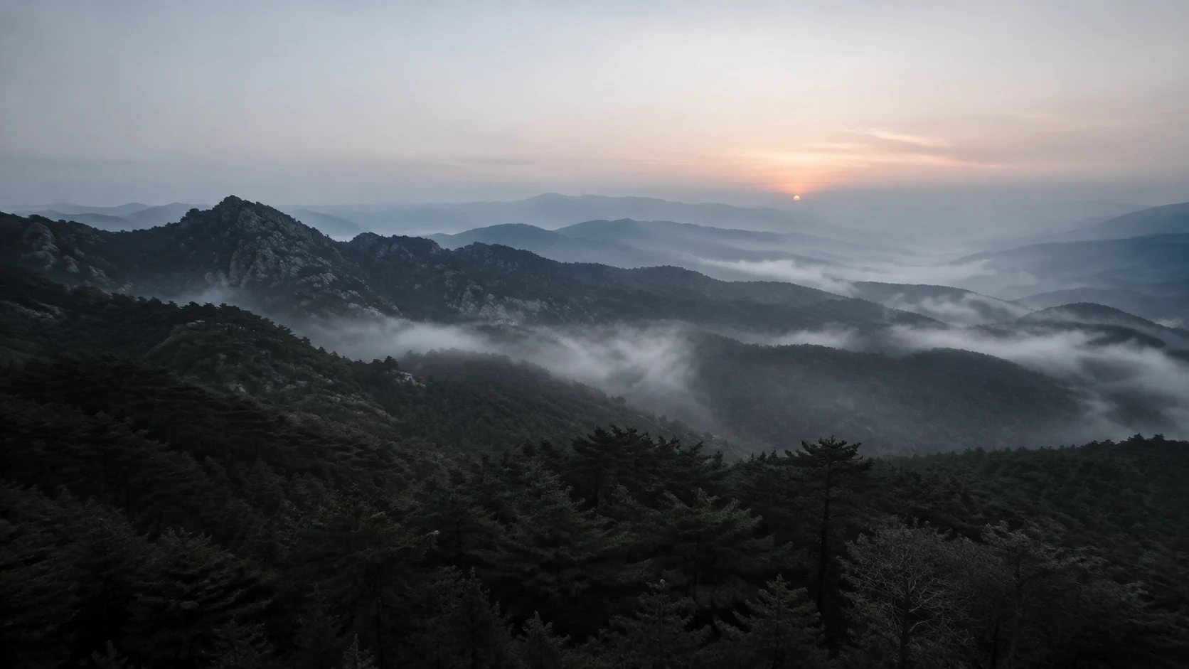 새벽빛 아래 안개가 흐르는 산과 짙은 숲